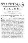 Gli antichi statuti di Belluno: Statutorum magnificae civitatis Belluni libri quatuor - Venezia 1747