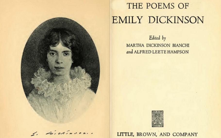 Emily Dickinson - Il mistero del dolore