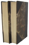 Edgar Allan Poe - Histoires extraordinaires traduites par Baudelaire - 1884 (26 bellissime tavole)