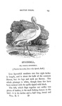 Thomas Bewick - History of british birds - 1797/1804 (prima edizione - con decine di illustrazioni)