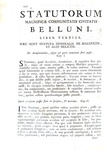 Gli antichi statuti di Belluno: Statutorum magnificae civitatis Belluni libri quatuor - Venezia 1747