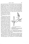 Charles Darwin - I movimenti e le abitudini delle piante rampicanti - 1878 (prima edizione italiana)