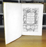 L'organizzazione degli eserciti nel Seicento: Brancaccio - I carichi militari 1610 (prima edizione)