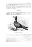 Charles Darwin - Variazione degli animali e delle piante - Torino 1876 (prima edizione italiana)